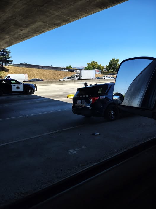 101 Freeway Suicide: Jumper Killed After Falling Onto Highway 101 in San Jose, Calif